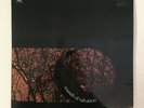 SOUNDS OF SALVATION LP RARE UK ORIG XIAN PROG FOLK PSYCH PRIVATE PRESS INSERT