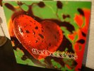THE BREEDERS  Last Splash org.1st.Press.in TOP-MINT