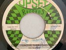 LEE PERRY - UPSETTERS - BATHROOM SKANK - UPSET ( ROOTS 7 )