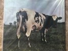 Rare, sealed MFSL Original Master Recording Pink Floyd Atom Heart Mother #5319