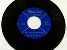 LARRY & THE LOAFERS Let's Go To The Beach / Who RARE GARAGE SURF 45 on SHURFINE