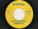 '64 NORTHERN/Deep Soul JIMMIE RAYE I Kept On Walkin'/You Don't Want My Love HEAR