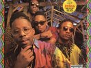 Brand Nubian - One For All '90 LP US ORG  Grand Puba Skeff Anselm