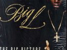 Big L - The Big Picture (1974 - 1999) '00 2xLP US ORG  DJ Premier Lord Finesse