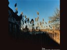 THE CINEMATIC ORCHESTRA - MA FLEUR (DELUXE VINYL+MP3) 2 LP + DOWNLOAD NEW