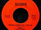 TEAC ? Never Gonna Let You Go ? Rare Chicago Mod Soul 45 SCOPE #1042