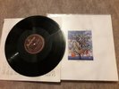 Talk Talk ?– Spirit Of Eden Vinyl LP Album Record (1st pres NM)