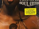 Pete Rock - Soul Survivor '98 2xLP US ORG  Large Professor Grap Luva