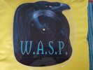 W.A.S.P. - Black Forever - Vinyl Picture Disc