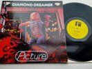 DIAMOND DREAMER  PICTURE ORIGINAL 1982 LP NM BACK DOOR RECORDS