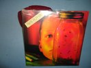 Alice In Chains Vinyl LP Jar Of Flies/Sap Etched 92'/93' OOP First Pressing