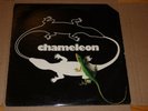 CHAMELEON Original 1981 1st Private press Minnesota AOR LP