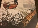 Circa Survive - Juturna On Grey W Blue Splatter Vinyl, On Letting Go