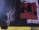 Piroshka|Lush/Elastica Brickbat Signed LP