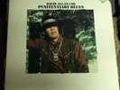 DAVID ALLAN COE Penitentiary Blues LP OOP RARE late-60's country die-cut cover