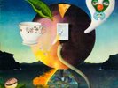 RARE NICK DRAKE PINK MOON LP VINYL 1972 ISLAND RECORDS SPANISH PRESSING