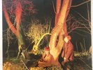 Echo And The Bunnymen Crocodiles Rare 1980 Original Pressing Sire SRK 6096 LP