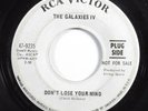 Garage Psych 45 GALAXIES IV Don't Lose Your Mind RCA VICTOR promo HEAR