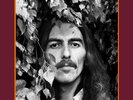 GEORGE HARRISON (Beatles) The Vinyl Collection 18 LP Vinyl Box 2017