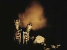 PEARL JAM Riot Act 2 x Vinyl LP Remastered 2017 GATEFOLD SLEEVE NEW & SEALED