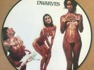 DWARVES Blood Guts & Pussy LP Sub Pop RARE PICTURE DISC Excellent OFF BLACK FLAG