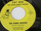 THE CAMEL DRIVERS The Grass Looks Greener TOP DOG Detroit GARAGE PSYCH FUZZ 45
