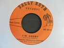 EL PEQUENO FRANCISCO GREAVES I'm Sorry SALLY RUTH Panama Doo Wop Soul 45 HEAR