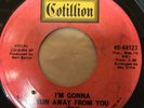 Tammi Lynn - I'm Gonna Run Away From You -  Original - Northern Soul - tami Lyn