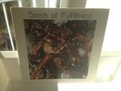 THE SEEDS OF FULFILLMENT - RARE INDEPENDENT SPIRITUAL JAZZ ORIGINAL - NM