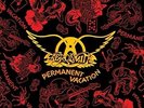Aerosmith - Permanent Vacation 602547954374 (Vinyl Used Very Good)