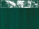 Uncle Tupelo - Still Feel Gone vinyl LP NEW/SEALED