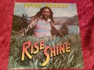 Peter Broggs Rise and Shine Rare Original Roots LP REGGAE Real Authentic Sound ?