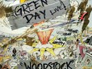 GREEN DAY LIVE WOODSTOCK 1994 12