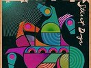 Widespread Panic - Street Dogs (Vinyl Used Very Good)