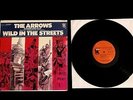 1968 DAVIE ALLAN & ARROWS WILD IN STREETS LP SHAPE OF THINGS TO COME MAX FROST