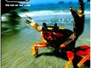 The Fat Of The Land [VINYL] Prodigy Vinyl