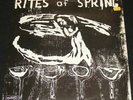 Rites of Spring 1985 1st press  Dischord #16  vintage punk record