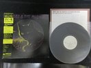 Bobby And The Midnites Bob Weir Japan Promo Vinyl LP OBI 25RS-148 Grateful Dead