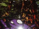 RARE MR OIZO ANALOG WORMS ATTACK LP 12” Records