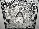 SEPTIC DEATH Now That I Have The Attention LP PUNK ROCK Thrash HARDCORE Pushead