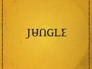 Jungle - For Ever (Yellow Vinyl) Vinyl LP NEU 09540637
