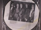 FLYNN THOMAS: Dangerous Friends LP (pic disc in PVC sleeve) Rock & Pop