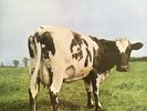 Pink Floyd Atom Heart Mother Gatefold Vinyl Album. 1st Press SHVL781 1970