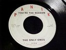 The ONLY ONES You're The Reason / Find A Way MICHIGAN GARAGE PSYCH 45 Panik HEAR