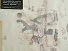 Frightened Rabbit - Midnight Organ Fight 10th Anni - LP Vinyl - New