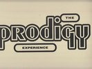 The Prodigy - Experience, 2x12
