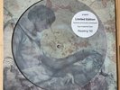 STONE TEMPLE PILOTS Sex Type Thing Ltd Ed 12” Vinyl Picture Disc
