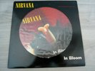 Nirvana In Bloom Strictly Limited Edition Picture Disc 12