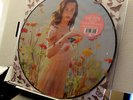 rare KATY PERRY prism RSD 2014 PICTURE DISC VINYL 2-LP SET  lady gaga adele pink