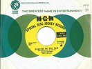 Four Leaves:Season of the sun/Chotto matte kudasai:MGM DJ:Pop